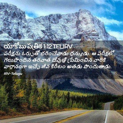 Picture 02 - యాకోబు పత్రిక 1:12 TELIRV - పరీక్షను ఓర్పుతో - Bible Verse Picture