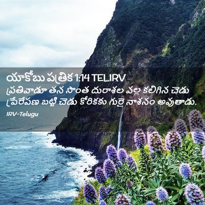 Picture 02 - యాకోబు పత్రిక 1:14 TELIRV - ప్రతివాడూ తన సొంత - Bible Verse Picture