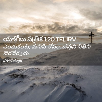 Picture 02 - యాకోబు పత్రిక 1:20 TELIRV - ఎందుకంటే, మనిషి - Bible Verse Picture