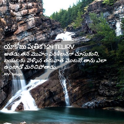 Picture 02 - యాకోబు పత్రిక 1:24 TELIRV - అతడు తన మొహం - Bible Verse Picture