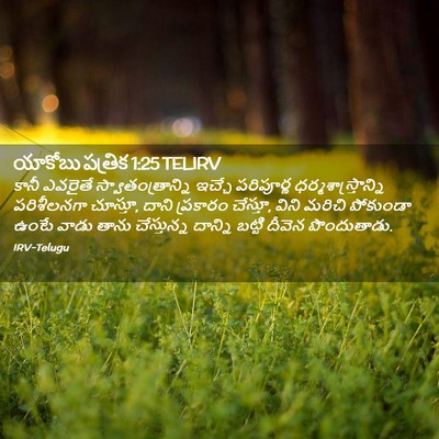 Picture 02 - యాకోబు పత్రిక 1:25 TELIRV - కానీ ఎవరైతే - Bible Verse Picture