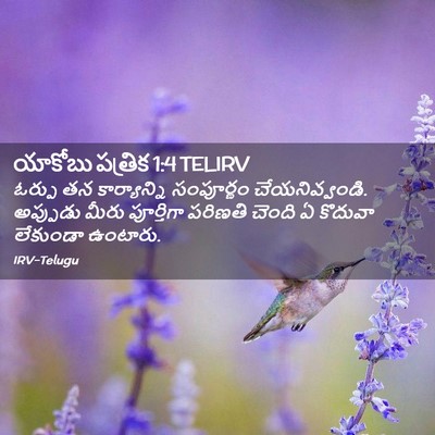 Picture 02 - యాకోబు పత్రిక 1:4 TELIRV - ఓర్పు తన - Bible Verse Picture
