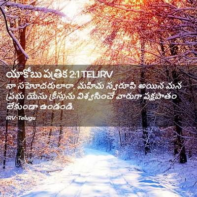 Picture 02 - యాకోబు పత్రిక 2:1 TELIRV - నా సహోదరులారా, - Bible Verse Picture