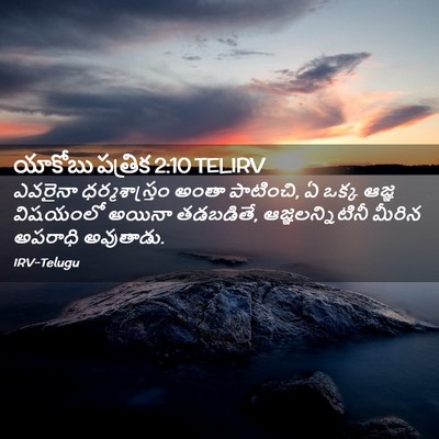 Picture 02 - యాకోబు పత్రిక 2:10 TELIRV - ఎవరైనా - Bible Verse Picture