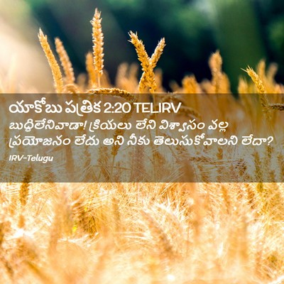 Picture 02 - యాకోబు పత్రిక 2:20 TELIRV - బుద్ధిలేనివాడా! - Bible Verse Picture