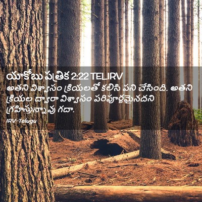 Picture 02 - యాకోబు పత్రిక 2:22 TELIRV - అతని విశ్వాసం - Bible Verse Picture