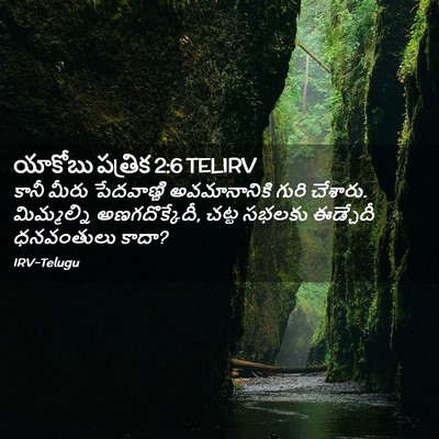 Picture 02 - యాకోబు పత్రిక 2:6 TELIRV - కానీ మీరు - Bible Verse Picture