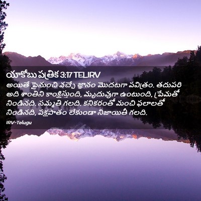 Picture 02 - యాకోబు పత్రిక 3:17 TELIRV - అయితే పైనుంచి - Bible Verse Picture