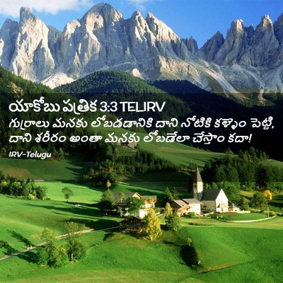 Picture 02 - యాకోబు పత్రిక 3:3 TELIRV - గుర్రాలు మనకు - Bible Verse Picture