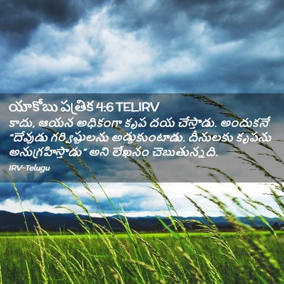 Picture 02 - యాకోబు పత్రిక 4:6 TELIRV - కాదు, ఆయన అధికంగా - Bible Verse Picture