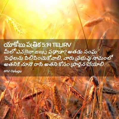 Picture 02 - యాకోబు పత్రిక 5:14 TELIRV - మీలో ఎవరైనా జబ్బు - Bible Verse Picture
