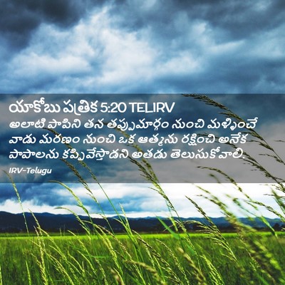 Picture 02 - యాకోబు పత్రిక 5:20 TELIRV - అలాటి పాపిని తన - Bible Verse Picture