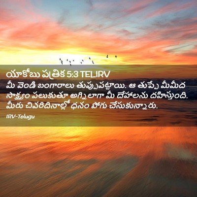 Picture 02 - యాకోబు పత్రిక 5:3 TELIRV - మీ వెండి బంగారాలు - Bible Verse Picture