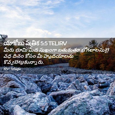 Picture 02 - యాకోబు పత్రిక 5:5 TELIRV - మీరు భూమి మీద - Bible Verse Picture