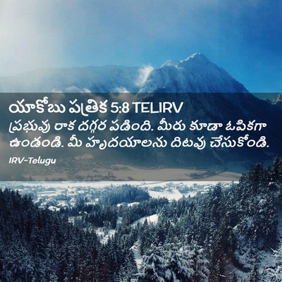 Picture 02 - యాకోబు పత్రిక 5:8 TELIRV - ప్రభువు రాక దగ్గర - Bible Verse Picture
