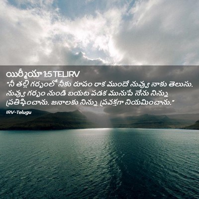 Picture 02 - యిర్మీయా 1:5 TELIRV - “నీ తల్లి గర్భంలో - Bible Verse Picture