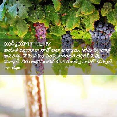 Picture 02 - యిర్మీయా 1:7 TELIRV - అయితే యెహోవా నాతో - Bible Verse Picture