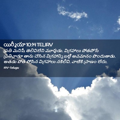 Picture 02 - యిర్మీయా 10:14 TELIRV - ప్రతి మనిషీ - Bible Verse Picture
