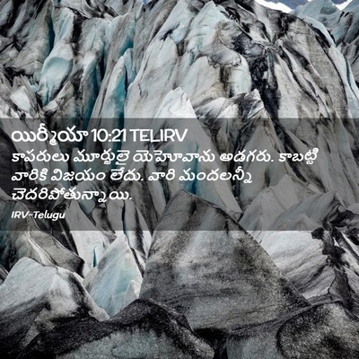 Picture 02 - యిర్మీయా 10:21 TELIRV - కాపరులు మూర్ఖులై - Bible Verse Picture