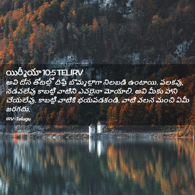 Picture 02 - యిర్మీయా 10:5 TELIRV - అవి దోస తోటల్లో - Bible Verse Picture