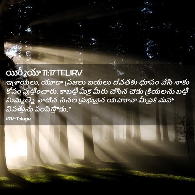 Picture 02 - యిర్మీయా 11:17 TELIRV - ఇశ్రాయేలు, యూదా - Bible Verse Picture