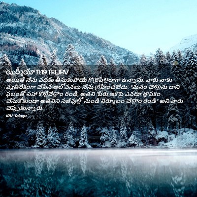 Picture 02 - యిర్మీయా 11:19 TELIRV - అయితే నేను వధకు - Bible Verse Picture