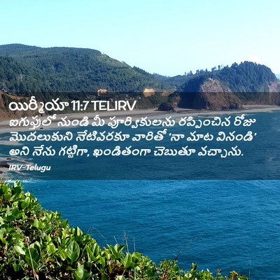Picture 02 - యిర్మీయా 11:7 TELIRV - ఐగుప్తులో నుండి - Bible Verse Picture