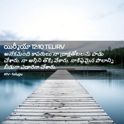 Picture 02 - యిర్మీయా 12:10 TELIRV - అనేకమంది కాపరులు - Bible Verse Picture