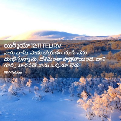 Picture 02 - యిర్మీయా 12:11 TELIRV - వారు దాన్ని పాడు - Bible Verse Picture
