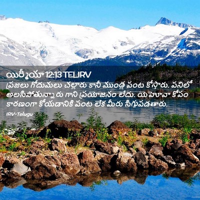 Picture 02 - యిర్మీయా 12:13 TELIRV - ప్రజలు గోదుమలు - Bible Verse Picture