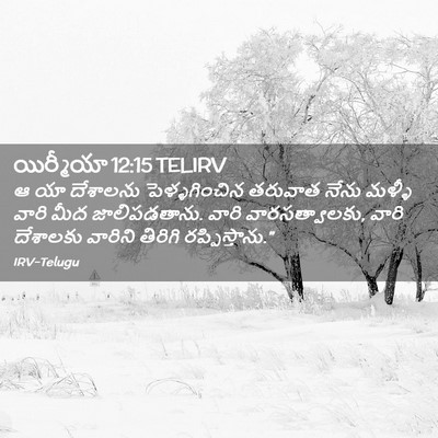 Picture 02 - యిర్మీయా 12:15 TELIRV - ఆ యా దేశాలను - Bible Verse Picture