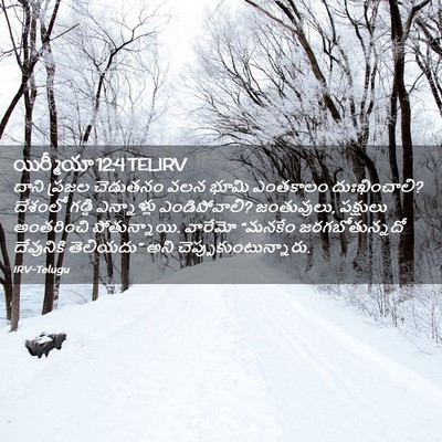 Picture 02 - యిర్మీయా 12:4 TELIRV - దాని ప్రజల - Bible Verse Picture