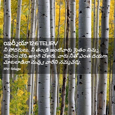 Picture 02 - యిర్మీయా 12:6 TELIRV - నీ సోదరులు, నీ - Bible Verse Picture