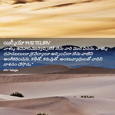 Picture 02 - యిర్మీయా 14:12 TELIRV - వాళ్ళు - Bible Verse Picture