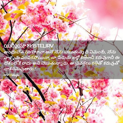 Picture 02 - యిర్మీయా 14:15 TELIRV - అందుచేత యెహోవా - Bible Verse Picture