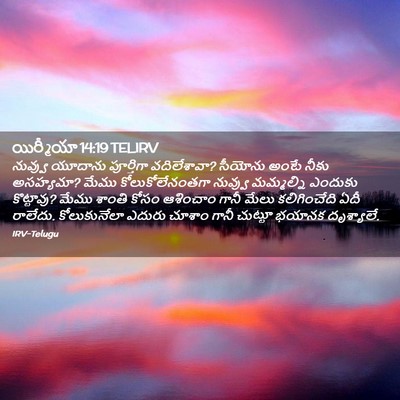 Picture 02 - యిర్మీయా 14:19 TELIRV - నువ్వు యూదాను - Bible Verse Picture