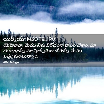 Picture 02 - యిర్మీయా 14:20 TELIRV - యెహోవా, మేము నీకు - Bible Verse Picture