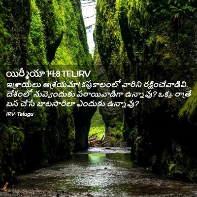 Picture 02 - యిర్మీయా 14:8 TELIRV - ఇశ్రాయేలు - Bible Verse Picture