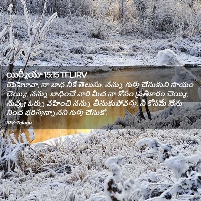 Picture 02 - యిర్మీయా 15:15 TELIRV - యెహోవా, నా బాధ నీకే - Bible Verse Picture