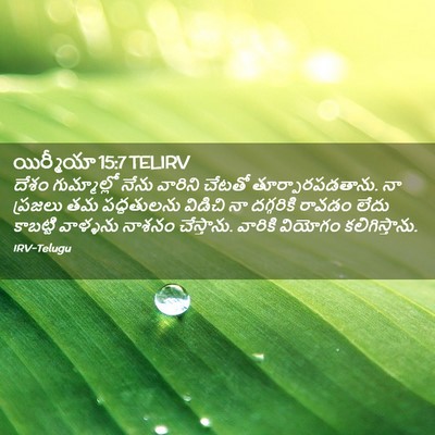Picture 02 - యిర్మీయా 15:7 TELIRV - దేశం గుమ్మాల్లో - Bible Verse Picture