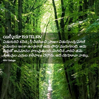 Picture 02 - యిర్మీయా 15:9 TELIRV - ఏడుగురిని కనిన - Bible Verse Picture