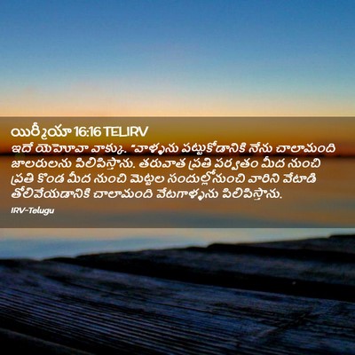 Picture 02 - యిర్మీయా 16:16 TELIRV - ఇదే యెహోవా వాక్కు. - Bible Verse Picture