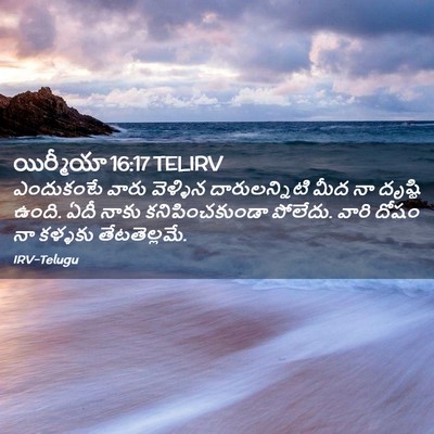 Picture 02 - యిర్మీయా 16:17 TELIRV - ఎందుకంటే వారు - Bible Verse Picture