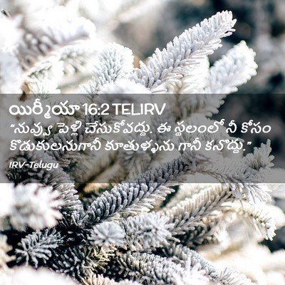 Picture 02 - యిర్మీయా 16:2 TELIRV - “నువ్వు పెళ్లి - Bible Verse Picture