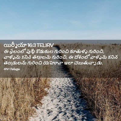 Picture 02 - యిర్మీయా 16:3 TELIRV - ఈ స్థలంలో పుట్టే - Bible Verse Picture