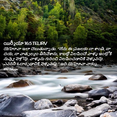 Picture 02 - యిర్మీయా 16:5 TELIRV - యెహోవా ఇలా - Bible Verse Picture