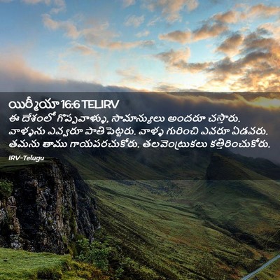 Picture 02 - యిర్మీయా 16:6 TELIRV - ఈ దేశంలో - Bible Verse Picture