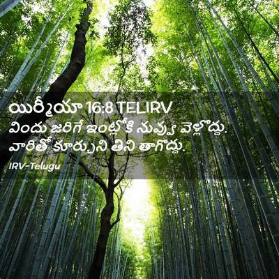 Picture 02 - యిర్మీయా 16:8 TELIRV - విందు జరిగే - Bible Verse Picture