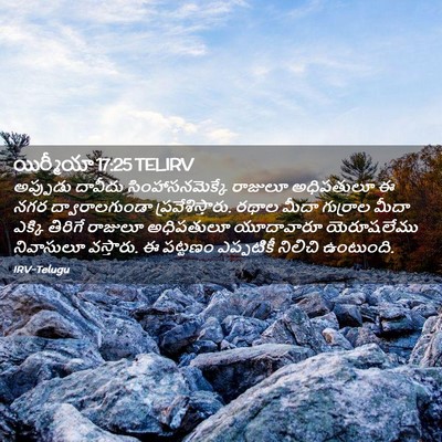 Picture 02 - యిర్మీయా 17:25 TELIRV - అప్పుడు దావీదు - Bible Verse Picture