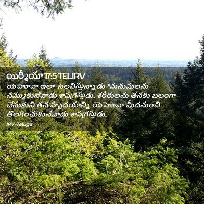 Picture 02 - యిర్మీయా 17:5 TELIRV - యెహోవా ఇలా - Bible Verse Picture